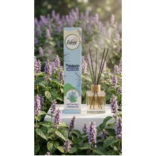 Аромадифузор з палочками Patchouli Ambiance  Edem 90мл 